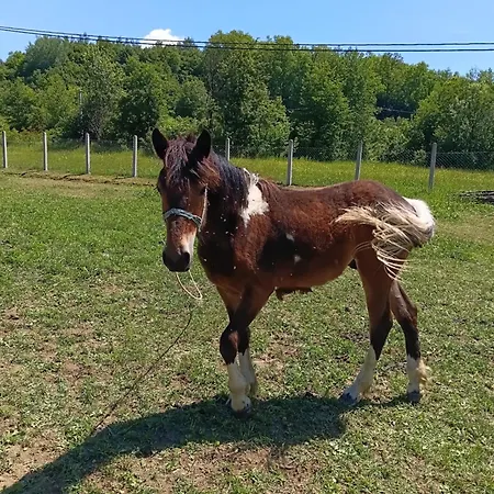 Seosko Domacinstvo Rajska Dolina Banja Luka